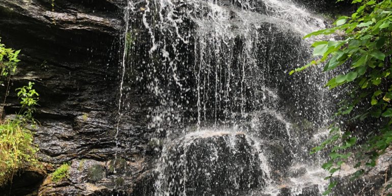 61972381202__A11E02AE-B46F-4FF1-9452-8827F3EA6D80