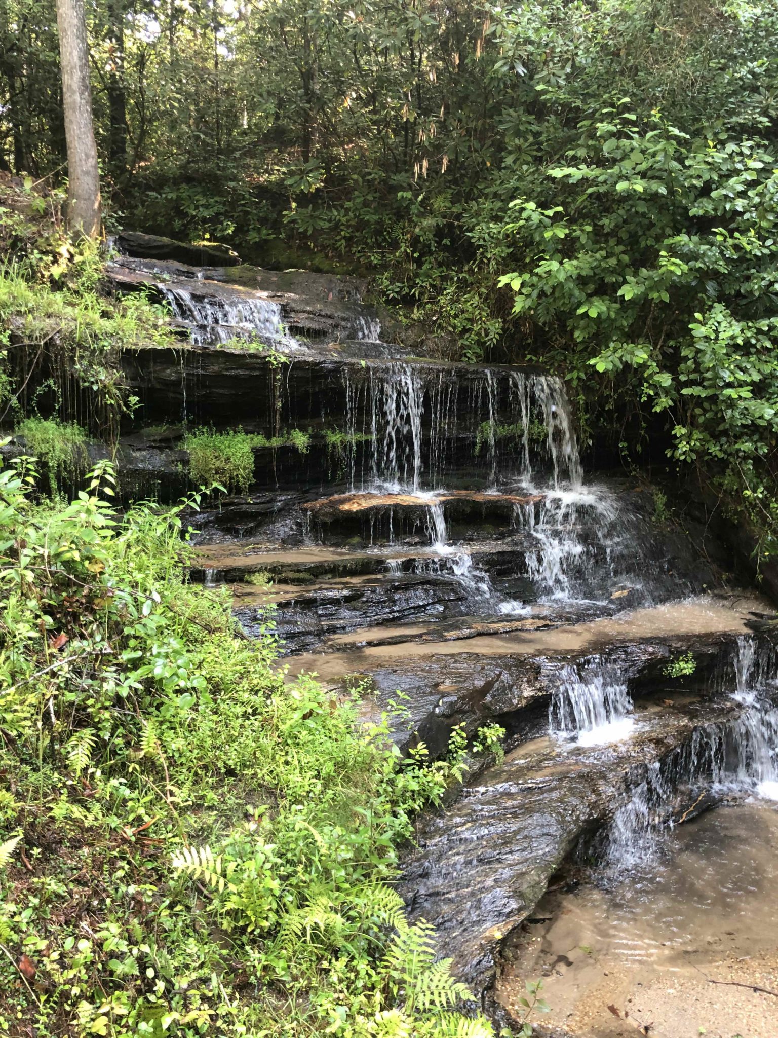 Emerald Crest-Multiple waterfalls! This property offers privacy, a stream and waterfalls.