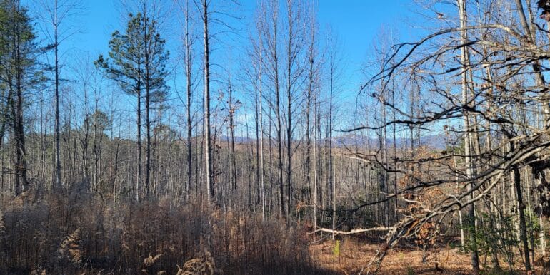 Tract1ViewFromUpperRightStake