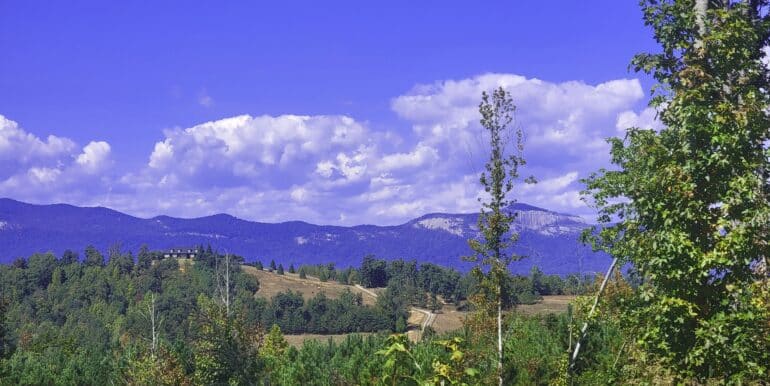 Tract4ViewOriginalClearing