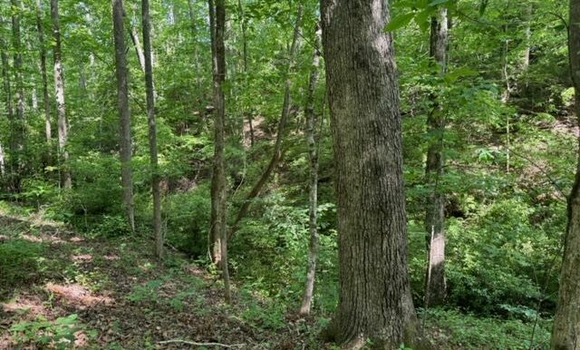 IMG_5916