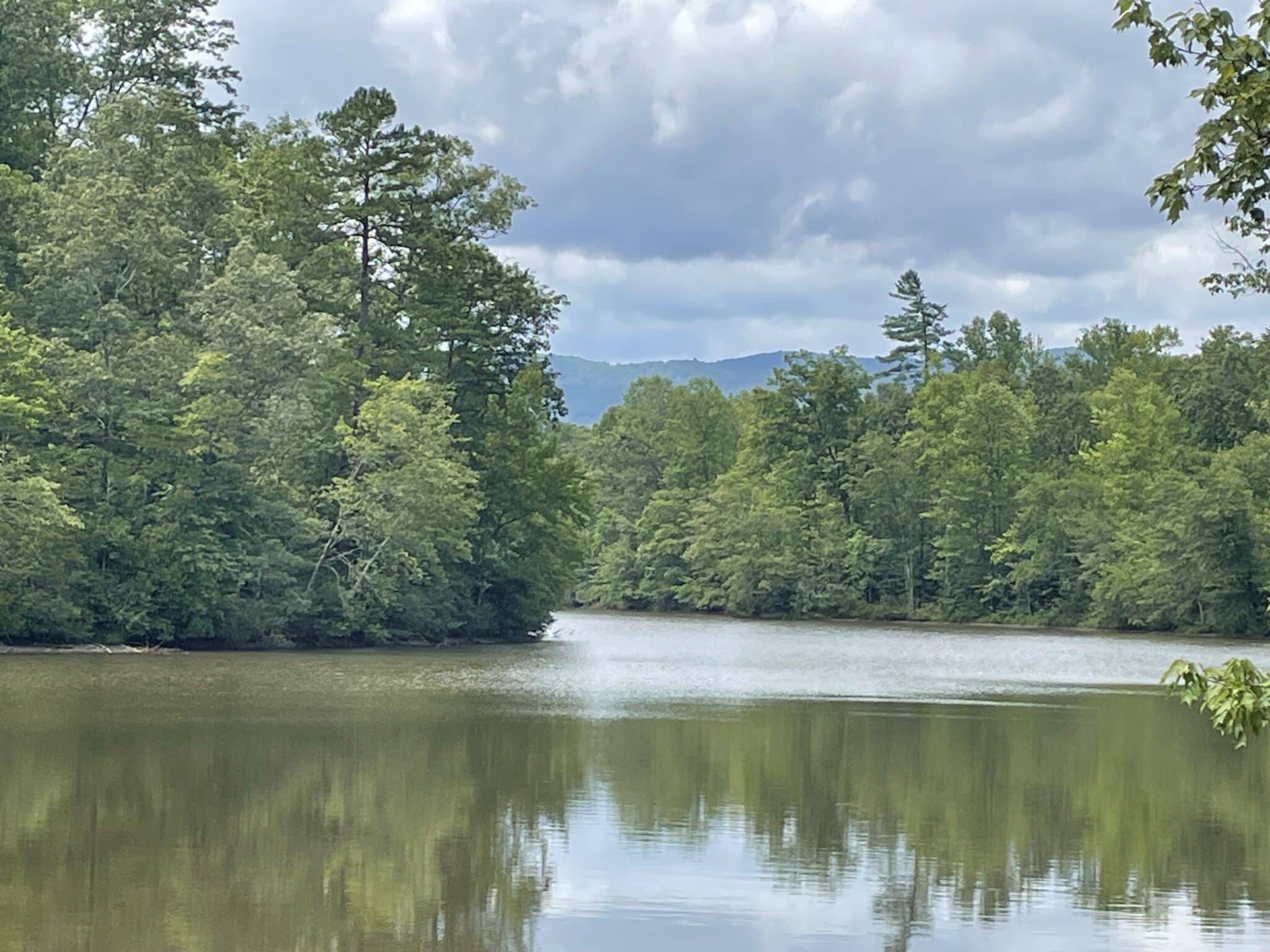 +/- 51.65 Acres – Tract 5 on Osheal Drive in Tamassee, SC