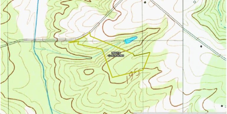 Topo 1