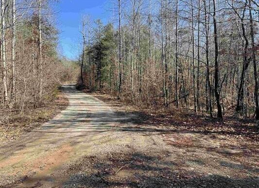 10_Beardon Hollow