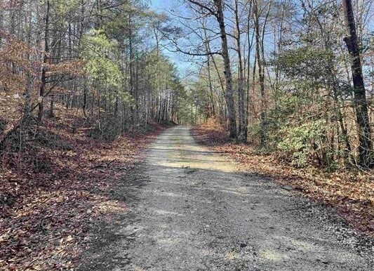 11_Beardon Hollow