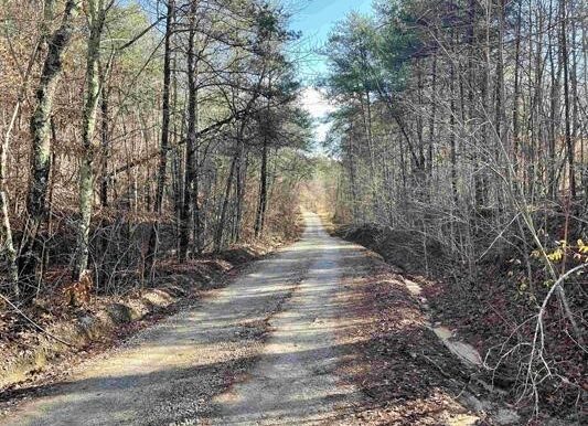 12_Beardon Hollow