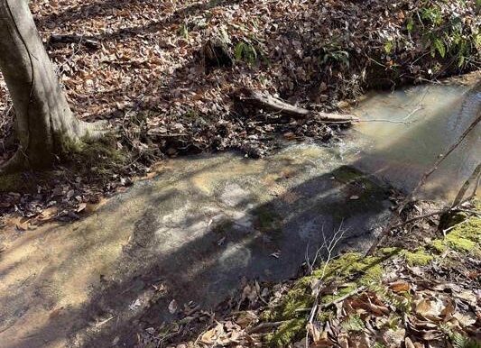 2_Beardon Hollow
