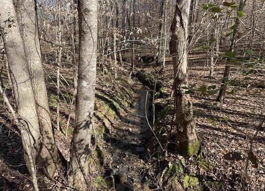 3_Beardon Hollow