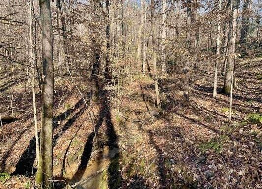 4_Beardon Hollow