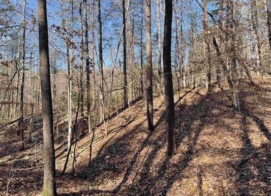 6_Beardon Hollow