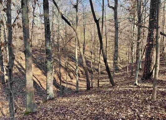 7_Beardon Hollow