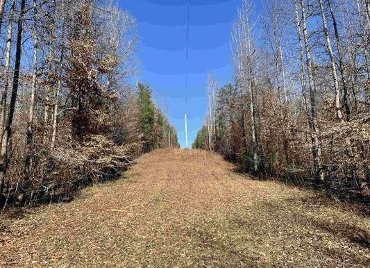 8_Beardon Hollow
