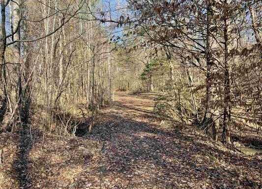 9_Beardon Hollow