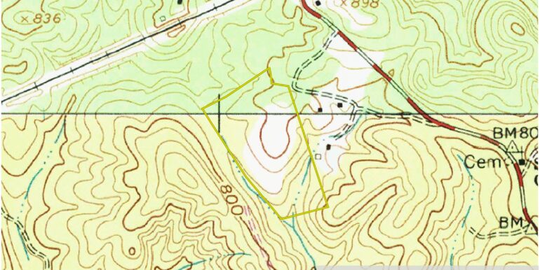 Topo 1