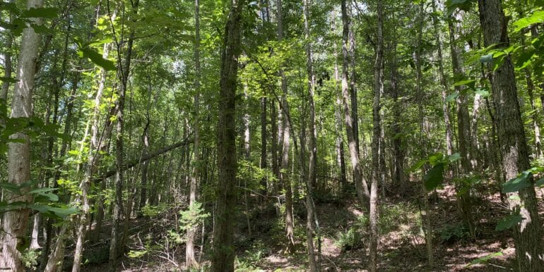 16 IMG_4608