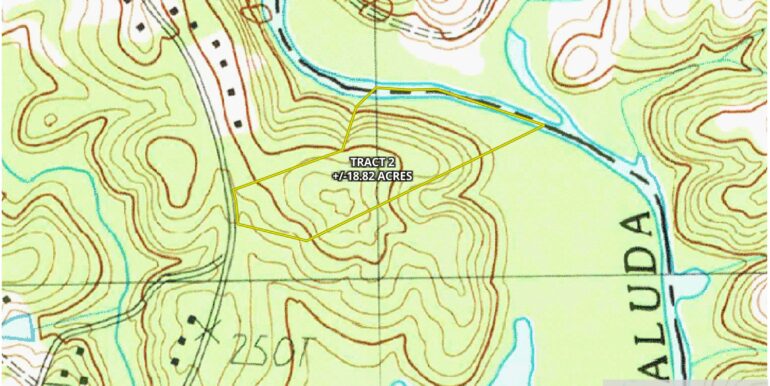 Topo 1