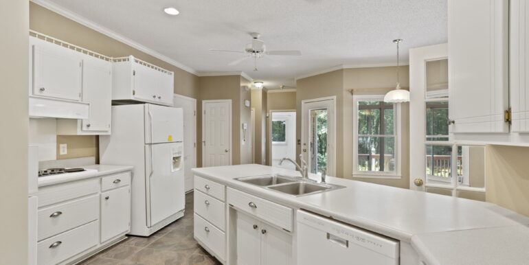 10-web-or-mls-Snow10