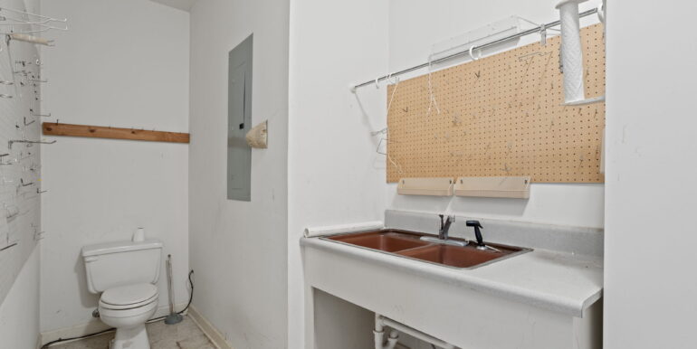 21-web-or-mls-Snow21