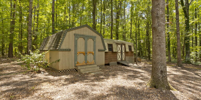 33-web-or-mls-Snow33