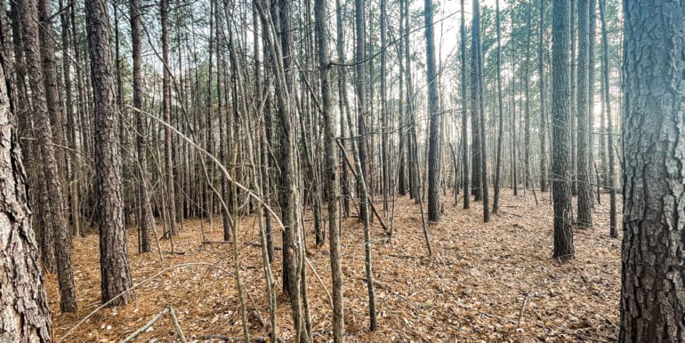 Sheorn-Lakeside small-01