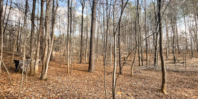 Sheorn-Lakeside small-02