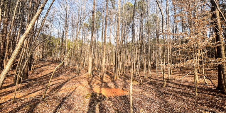 Sheorn-Lakeside small-03