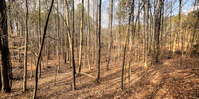 Sheorn-Lakeside small-04