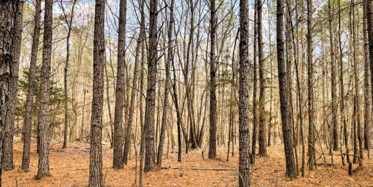 Sheorn-Lakeside small-08