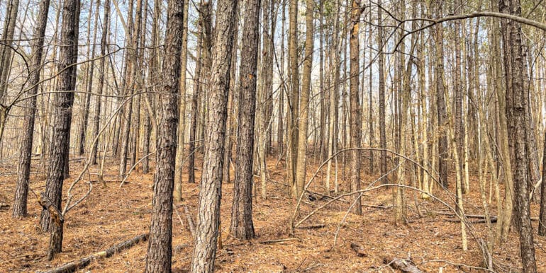 Sheorn-Lakeside small-11