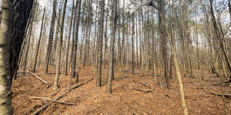 Sheorn-Lakeside small-12