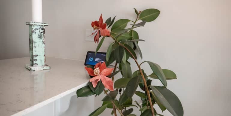 112 Weth. Sandra Stroud-38