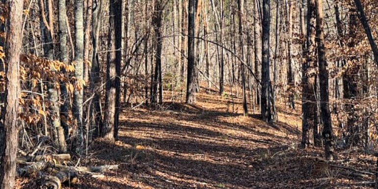 Lakeside Dr - 14.52 EDITS-03