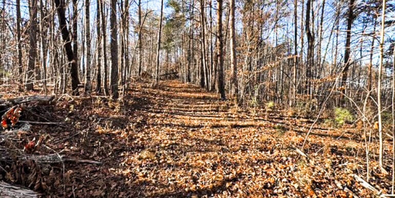 Lakeside Dr - 14.52 EDITS-04