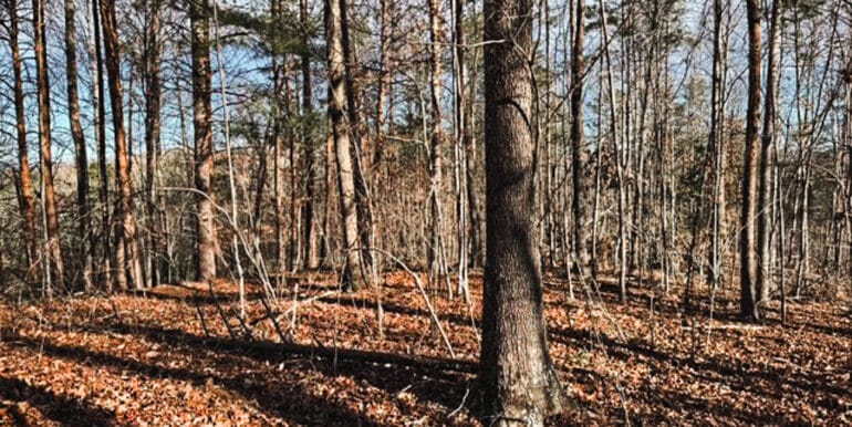 Lakeside Dr - 14.52 EDITS-05