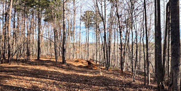 Lakeside Dr - 14.52 EDITS-08