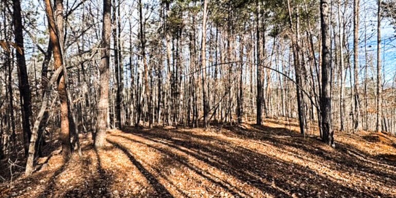 Lakeside Dr - 14.52 EDITS-09