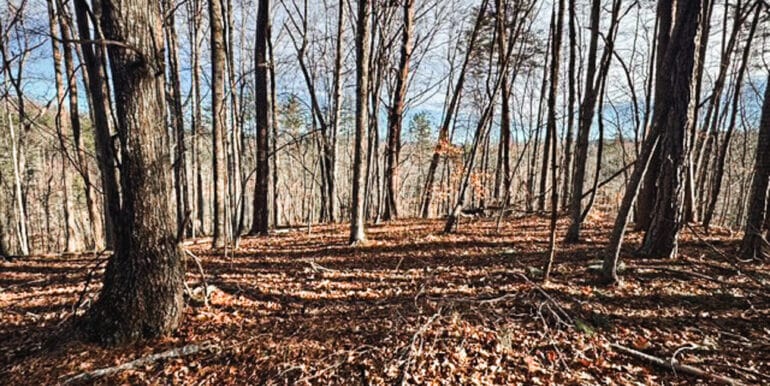 Lakeside Dr - 14.52 EDITS-10