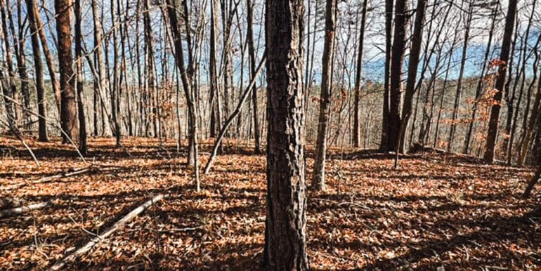 Lakeside Dr - 14.52 EDITS-11