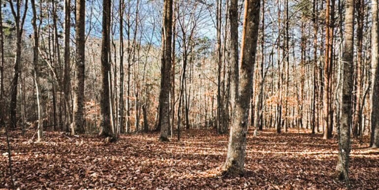 Lakeside Dr - 14.52 EDITS-13