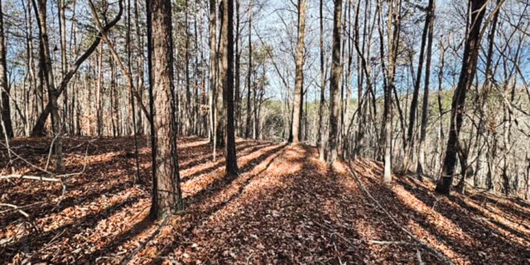 Lakeside Dr - 14.52 EDITS-14