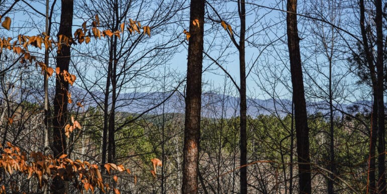 Lakeside Dr - 14.52 EDITS-18