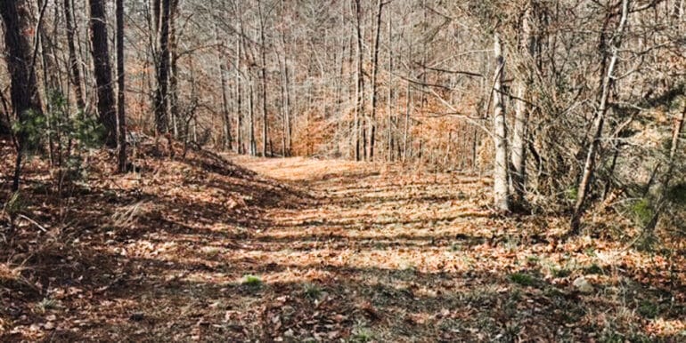 Lakeside Dr - 14.52 EDITS-24