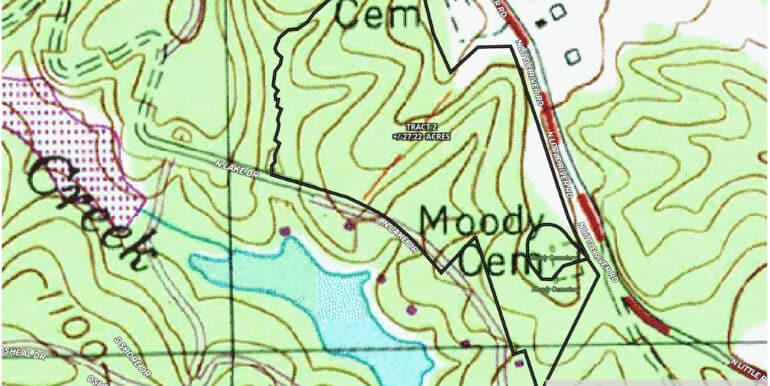 Topo1 (2)