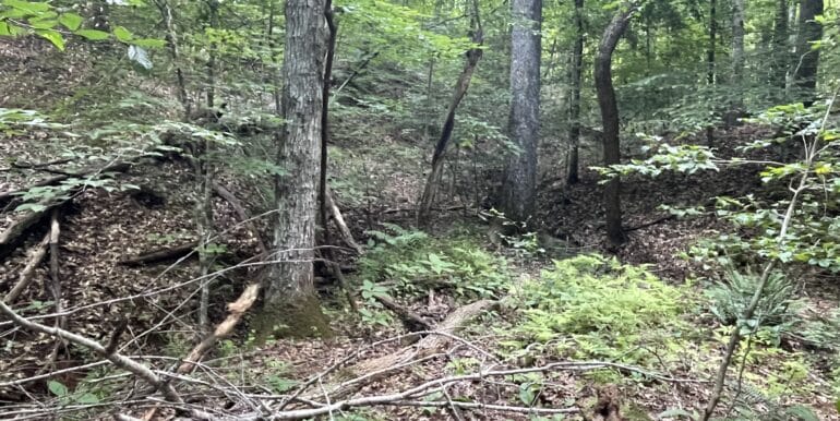 2026-06-17 15.33.17