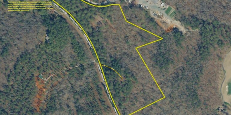 aerial 1