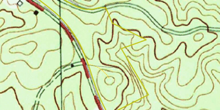 topo1